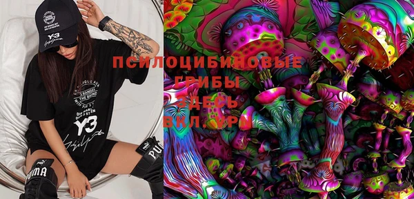 индика Алексин