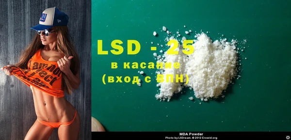 индика Алексин