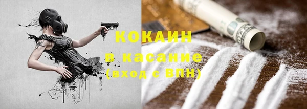 индика Алексин