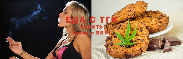 индика Алексин