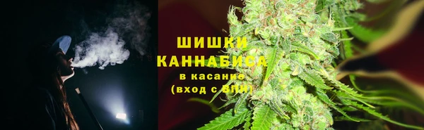 трава Сосновоборск