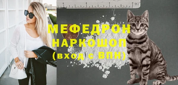 индика Алексин