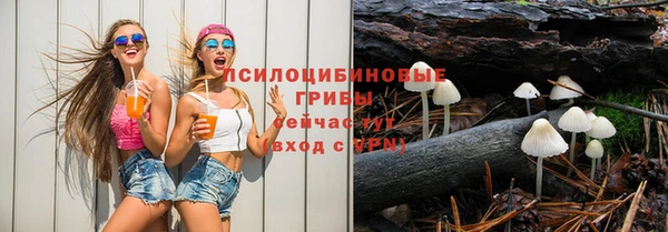 дмт Сосновка