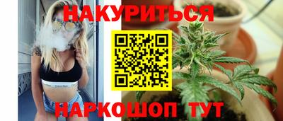 apvp Краснодар