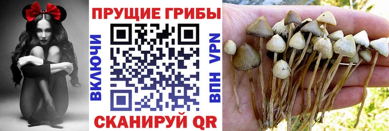 Галлюциногенные грибы мицелий Железноводск